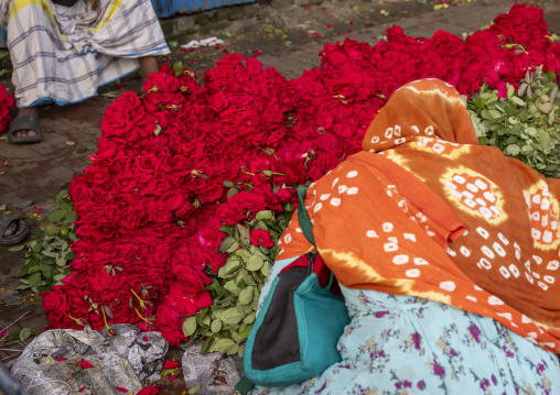 Woman selling red roses at flower market, Dhaka Division, Dhaka, Bangladesh