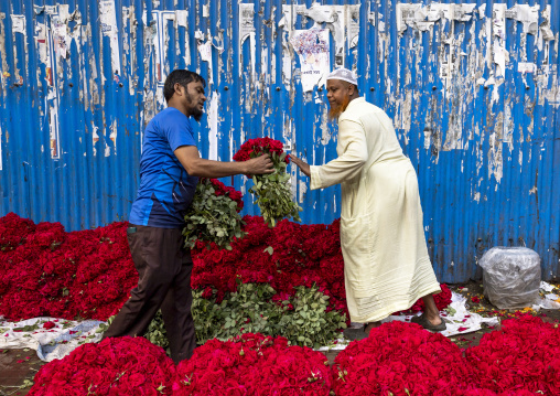 Bangladeshi men selling red roses at flower market, Dhaka Division, Dhaka, Bangladesh