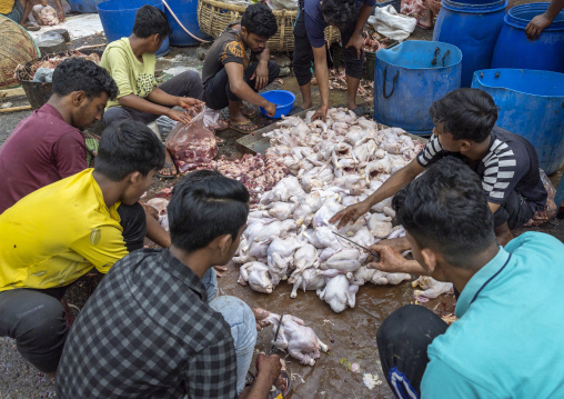 Bangladeshi men cutting chickens at Kawran bazar, Dhaka Division, Dhaka, Bangladesh