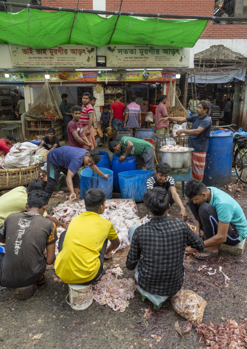 Bangladeshi men cutting chickens at Kawran bazar, Dhaka Division, Dhaka, Bangladesh