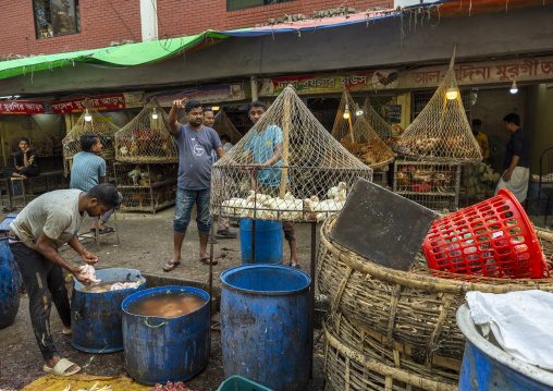 Bangladeshi men cutting chickens at Kawran bazar, Dhaka Division, Dhaka, Bangladesh