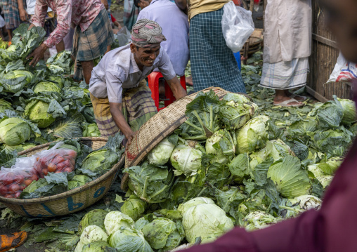 Bangladeshi man bringing cabbages at vegetables and fruits morning market, Dhaka Division, Dhaka, Bangladesh