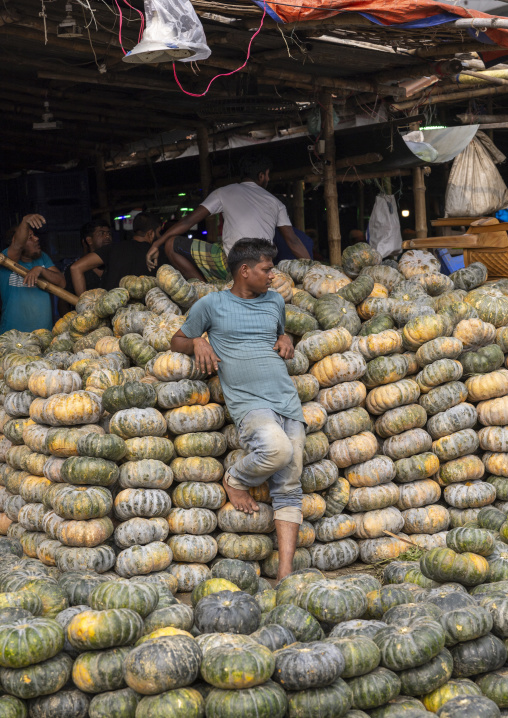 Pumpkins for sale at Kawran Bazar vegetables morning market, Dhaka Division, Dhaka, Bangladesh