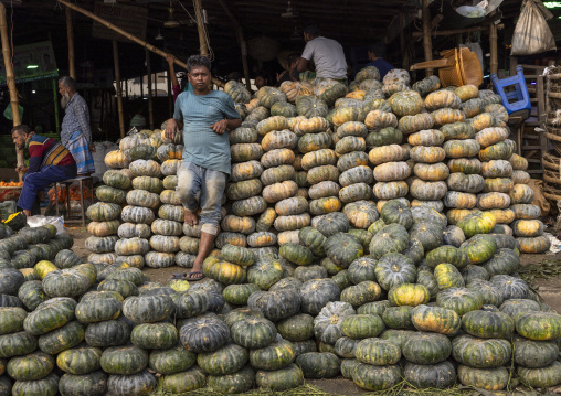 Pumpkins for sale at Kawran Bazar vegetables morning market, Dhaka Division, Dhaka, Bangladesh