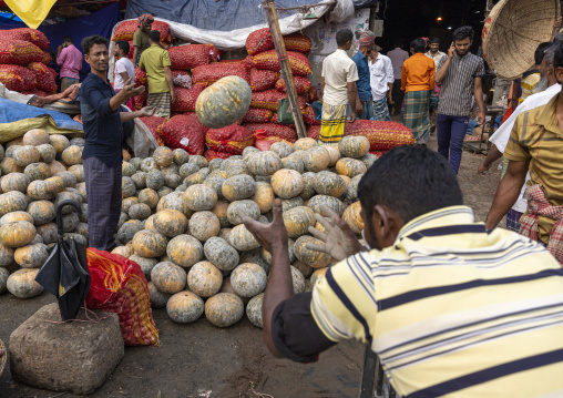 Pumpkins for sale at Kawran Bazar vegetables morning market, Dhaka Division, Dhaka, Bangladesh