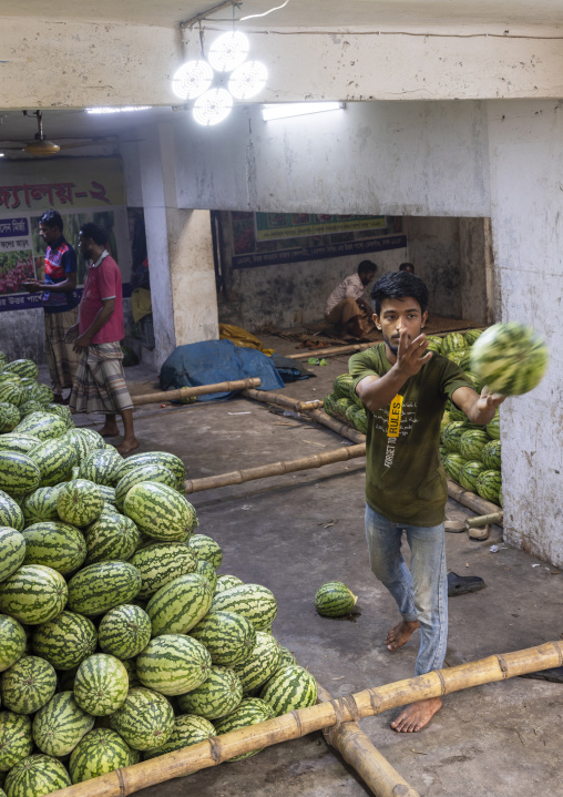 Watermelons for sale at Kawran Bazar vegetables morning market, Dhaka Division, Dhaka, Bangladesh