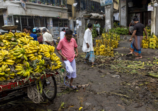 Bananas sold at Kawran Bazar vegetables and fruits morning market, Dhaka Division, Dhaka, Bangladesh