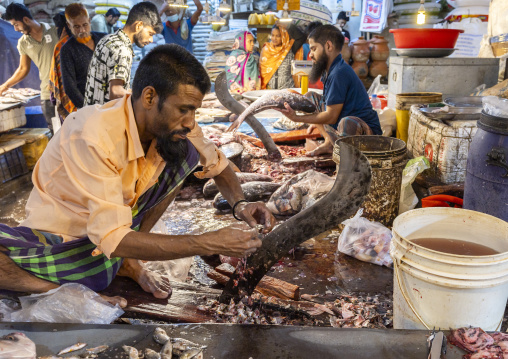 Bangladeshi man removing fish scales at fish market, Dhaka Division, Dhaka, Bangladesh