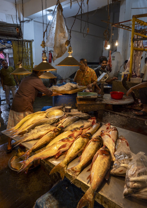 Bangladeshi man selling fresh fish at fish market, Dhaka Division, Dhaka, Bangladesh