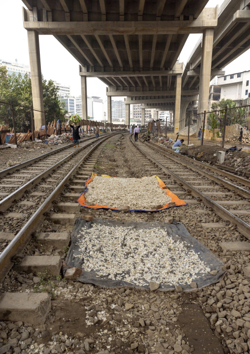 Fish scales drying along the railway near Kawran bazar, Dhaka Division, Dhaka, Bangladesh