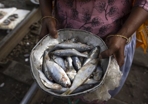 Bangladeshi woman selling fishes along the rail track in Kawran bazar, Dhaka Division, Dhaka, Bangladesh