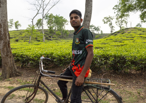 Bangladeshi man on his bicycle in front of tea plantations, Sylhet Division, Kamalganj, Bangladesh