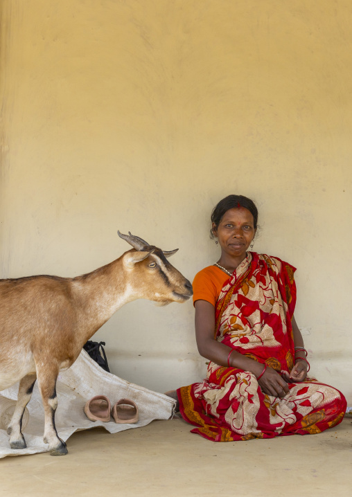 Portrait of a Santal tribe woman with a goat, Sylhet Division, Kamalganj, Bangladesh