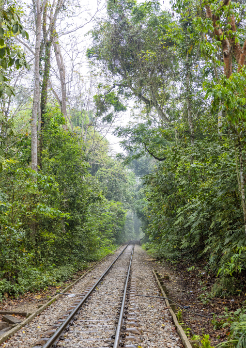 Railwayin Lawachara national park, Sylhet Division, Moulvibazar, Bangladesh