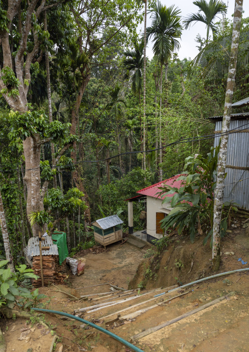 Khasi tribe house in the forest, Sylhet Division, Kamalganj, Bangladesh