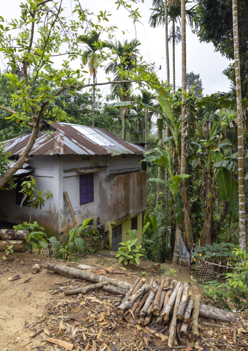 Khasi tribe house in the forest, Sylhet Division, Kamalganj, Bangladesh