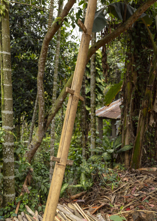 Khasi tribe bamboo traditional ladder, Sylhet Division, Kamalganj, Bangladesh