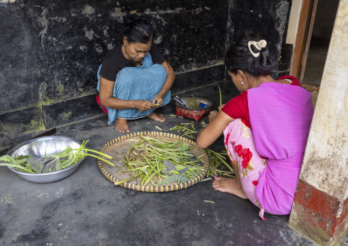 Bangladeshi women from Khasi tribe preparing food, Sylhet Division, Kamalganj, Bangladesh