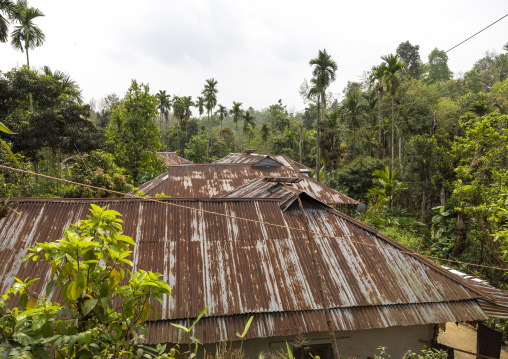 Khasi tribe rusty roofs in the forest, Sylhet Division, Kamalganj, Bangladesh