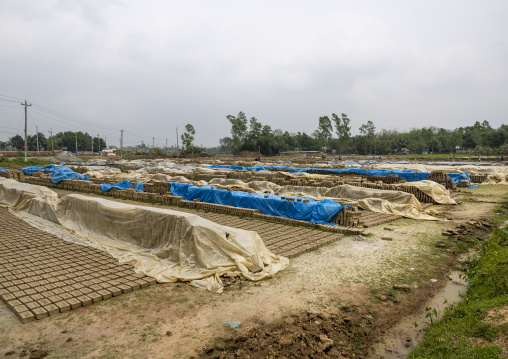 Bricks drying in the sun in a factory, Sylhet Division, Bahubal, Bangladesh