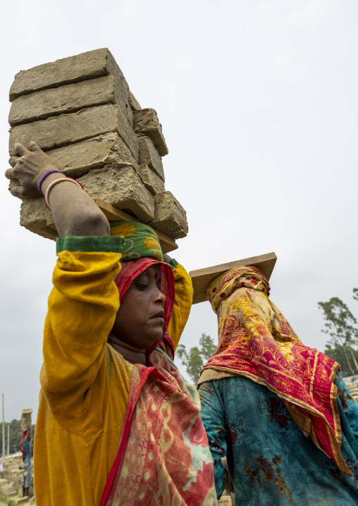 Women carrying bricks on their heads at a brick factory, Sylhet Division, Bahubal, Bangladesh