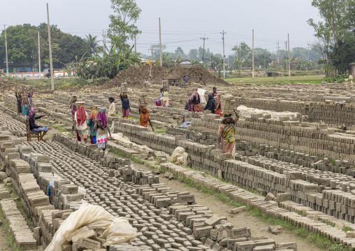 Workers carrying bricks on his head at a brick factory, Sylhet Division, Bahubal, Bangladesh