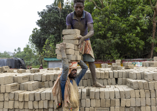 A bangladeshi man carries bricks on his head at a brick factory, Sylhet Division, Bahubal, Bangladesh