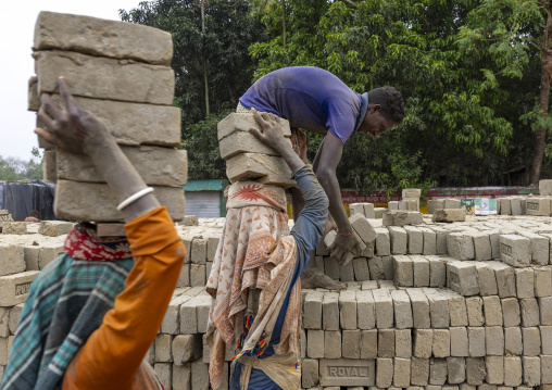 Women carrying bricks on their heads at a brick factory, Sylhet Division, Bahubal, Bangladesh