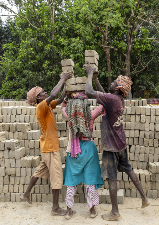 Bangladeshi men unloading bricks carried on a woman head at a brick factory, Sylhet Division, Bahubal, Bangladesh