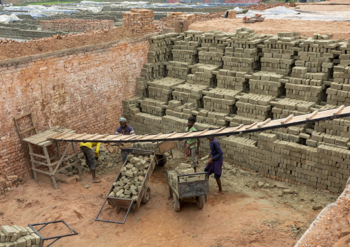 Bangladeshi brick field workers arranging bricks, Sylhet Division, Bahubal, Bangladesh