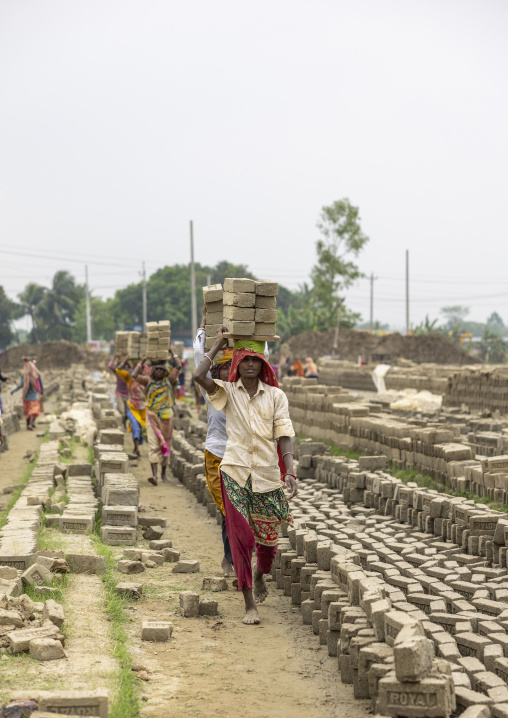 Women carrying bricks on their heads at a brick factory, Sylhet Division, Bahubal, Bangladesh