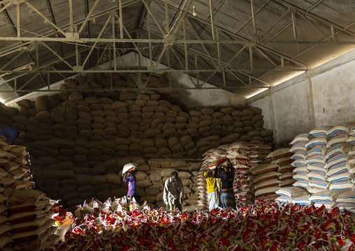 Bangladeshi men carrying bags in a rice warehouse, Chittagong Division, Ashuganj, Bangladesh