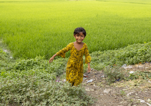 Bangladeshi girl in a paddy field, Chittagong Division, Ashuganj, Bangladesh