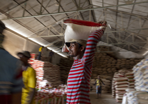 Bangladeshi men carrying bags in a rice warehouse, Chittagong Division, Ashuganj, Bangladesh