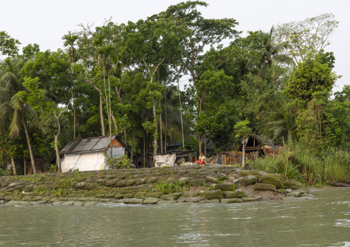 Protection from erosion in the sundarbans, Barisal Division, Banaripara, Bangladesh