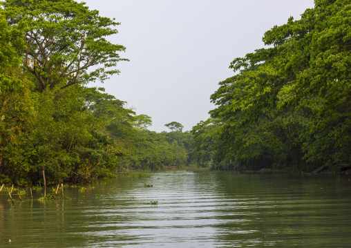 River in the sundarbans, Barisal Division, Banaripara, Bangladesh