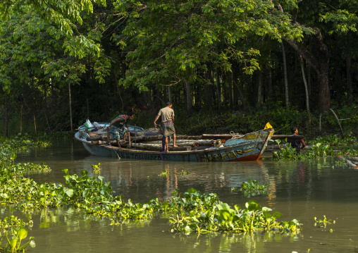 Bangladeshi men carrying wood on a local boat on a river, Barisal Division, Banaripara, Bangladesh