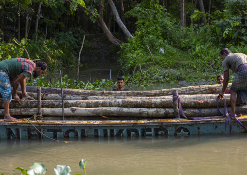 Bangladeshi men carrying wood on a local boat on a river, Barisal Division, Banaripara, Bangladesh