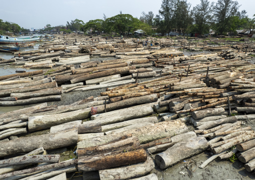 Timber market, Barisal Division, Nesarabad, Bangladesh