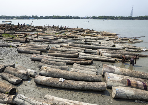 Timber market, Barisal Division, Nesarabad, Bangladesh