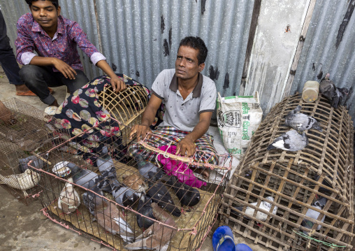 Bangladeshi man selling pigeons in the street in Sundarbans, Barisal Division, Harta, Bangladesh