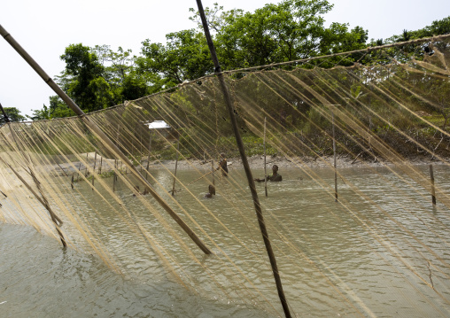 Bangladeshi people catching fish using large lift net on the river, Barisal Division, Wazirpur, Bangladesh