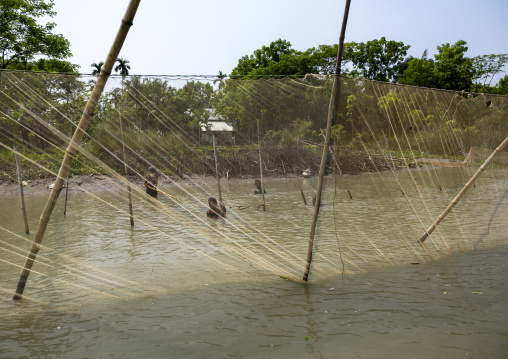 Bangladeshi people catching fish using large lift net on the river, Barisal Division, Wazirpur, Bangladesh