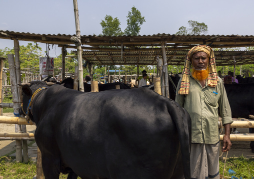 Bangladeshi men selling and buying cows at cattle market, Barisal Division, Wazirpur, Bangladesh