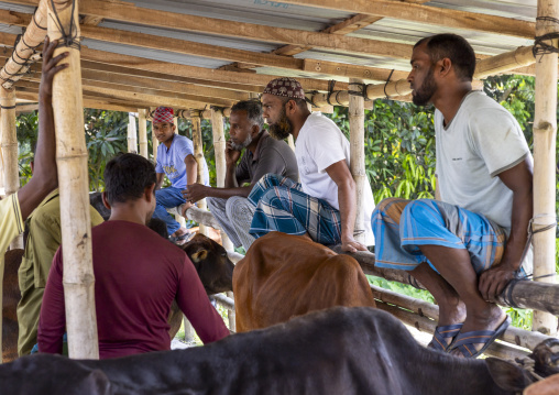 Bangladeshi men selling and buying cows at cattle market, Barisal Division, Wazirpur, Bangladesh