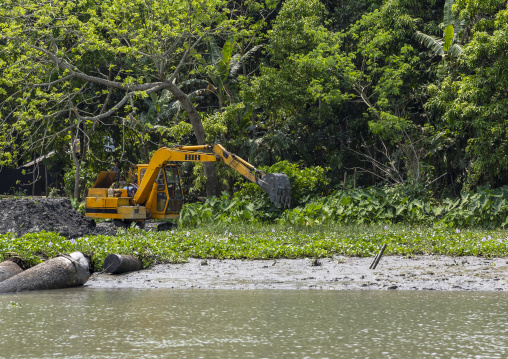 Bulldozer on the bank of a river digging in the water hyacinth flowers, Barisal Division, Wazirpur, Bangladesh