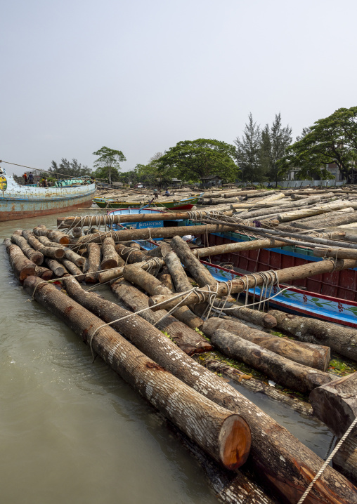 Timber market, Barisal Division, Nesarabad, Bangladesh