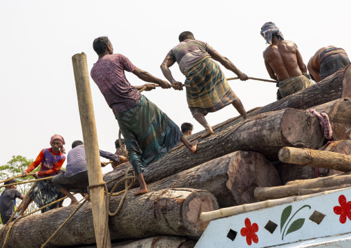 Bangladeshi men pulling timbers, Barisal Division, Nesarabad, Bangladesh