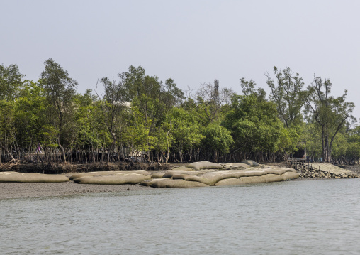 Protection from erosion in the sundarbans, Khulna Division, Shyamnagar, Bangladesh