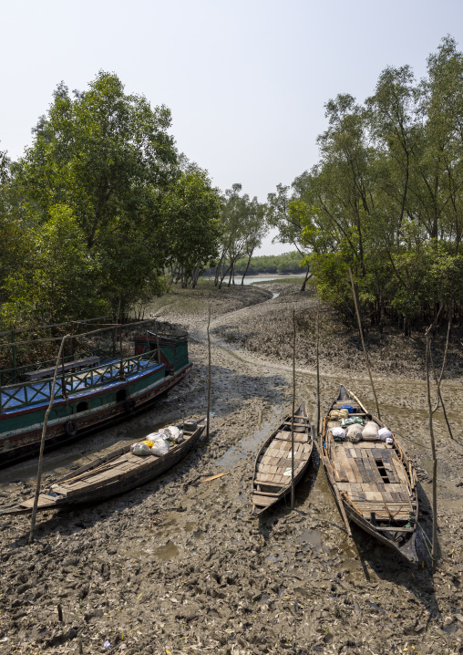 Boats at low tide in the mangrove in the Sundarbans, Khulna Division, Shyamnagar, Bangladesh